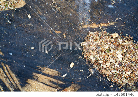 Wood board with sawdust and shavings texture close up Wood board with sawdust and shavings texture close up 143601446