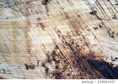 Charred wooden tabletop with burn marks texture close up Charred wooden tabletop with burn marks texture close up 143601447