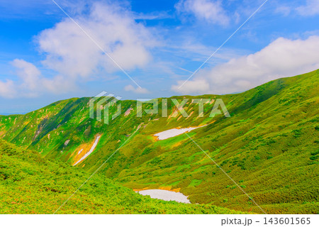夏の月山登山で姥ヶ岳山頂から月山山頂へと続くニッコウキスゲ咲く美しい登山道と残雪の山肌風景 143601565