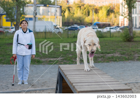 A blind woman trains with her guide dog at a dog park. 143602003