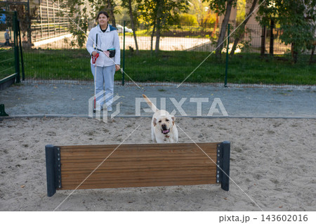 A blind woman is working with her guide dog at a dog park. 143602016