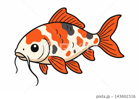 Cute Cartoon Koi Fish Illustration with Orange and Black Spots Cute Cartoon Koi Fish Illustration with Orange and Black Spots 143602316
