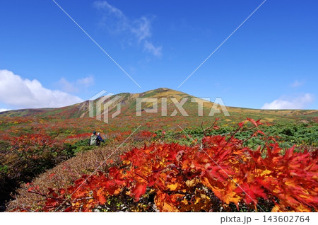 紅葉の栗駒山 東栗駒コース 紅葉の栗駒山 東栗駒コース 143602764