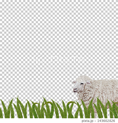[Sheep and Grassland Frame] Hand-embroidered illustration material 143602826