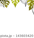 Floral frame with colorful exotic branches on white background. Ornate border with tropic leaves. Vector stock illustration for wallpaper, posters, card. Doodle style. Copy space 143603420
