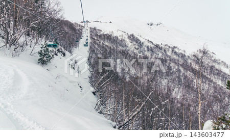 Empty ski lift climbing snowy mountainside through birch forest beneath overcast sky Empty ski lift climbing snowy mountainside through birch forest beneath overcast sky 143603477