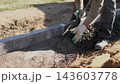 Worker spreads wet concrete along curb edge with trowel during outdoor construction, shaping fresh mortar beside dirt ground in bright daylight on residential site with close view. 143603778