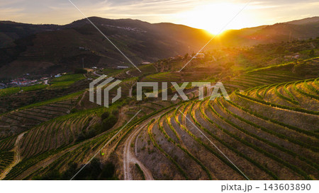 Terraced Vineyards and Winding Roads at Sunset in Portugal's Douro Valley 143603890