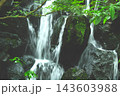 苔むす岩の間を流れる滝と新緑が織りなす自然風景 143603988