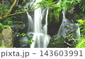 苔むす岩の間を流れる滝と新緑が織りなす自然風景 143603991