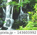 苔むす岩の間を流れる滝と新緑が織りなす自然風景 143603992