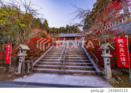 福岡県　呑山観音寺の秋景色 143604110
