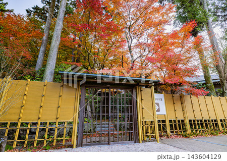 福岡県 呑山観音寺の秋景色 福岡県 呑山観音寺の秋景色 143604129