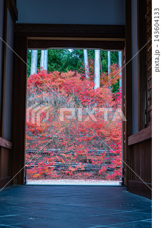 福岡県 呑山観音寺の秋景色 福岡県 呑山観音寺の秋景色 143604133