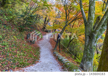 福岡県 呑山観音寺の秋景色 福岡県 呑山観音寺の秋景色 143604163