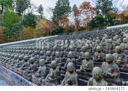 福岡県 呑山観音寺の秋景色 福岡県 呑山観音寺の秋景色 143604172