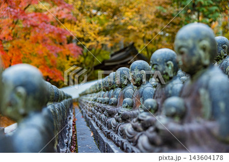 福岡県 呑山観音寺の秋景色 福岡県 呑山観音寺の秋景色 143604178
