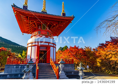 福岡県 呑山観音寺の秋景色 福岡県 呑山観音寺の秋景色 143604199
