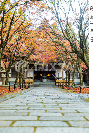 福岡県　呑山観音寺の秋景色 143604206