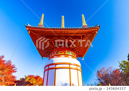 福岡県　呑山観音寺の秋景色 143604337