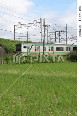 収穫の終わった田んぼを走る通勤電車 143604601