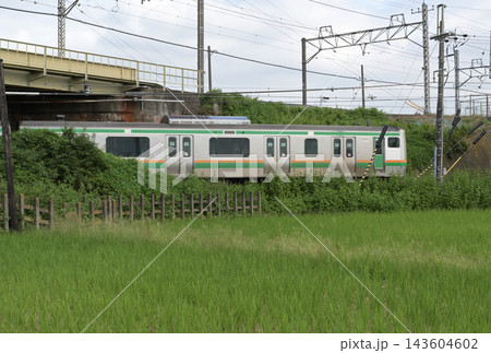 収穫の終わった田んぼを走る通勤電車 収穫の終わった田んぼを走る通勤電車 143604602