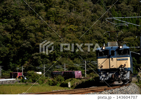 伯備線を走るEF641043コンテナ貨物列車 伯備線を走るEF641043コンテナ貨物列車 143604707