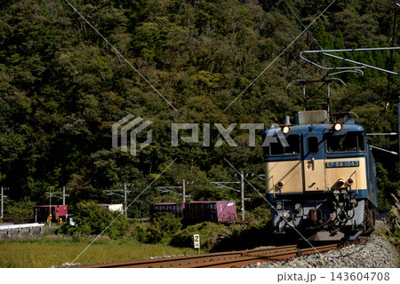伯備線を走るEF641043コンテナ貨物列車 伯備線を走るEF641043コンテナ貨物列車 143604708