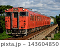 高徳線を走るキハ47系普通列車3両 143604850