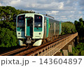 高徳線を走る1500系単行列車 143604897