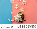 delicate floral arrangement on blue and pink modern background design 143606650