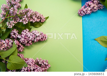 purple lilac floral border with copy space 143606651