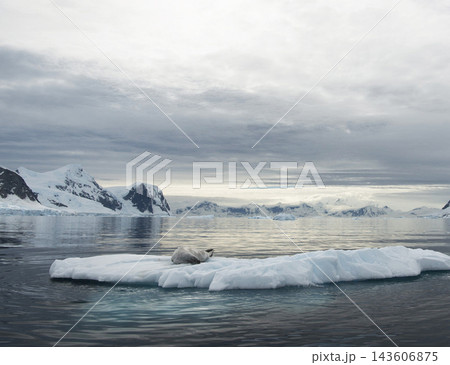 icebergs in the glacier lagoon 143606875