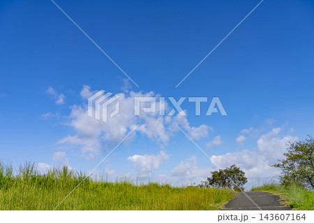 秋の青空と雲と草原 秋の青空と雲と草原 143607164