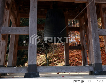 モミジの紅葉と鐘楼 モミジの紅葉と鐘楼 143607354