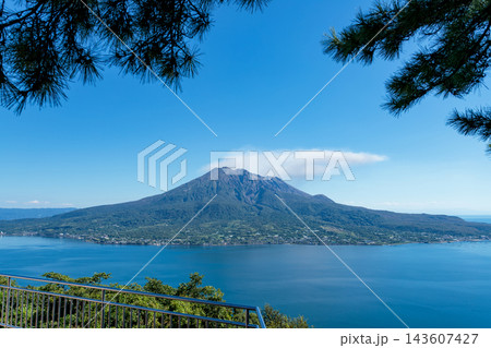 夏の吉野公園展望台から松の葉越しに望む桜島と青い錦江湾 夏の吉野公園展望台から松の葉越しに望む桜島と青い錦江湾 143607427