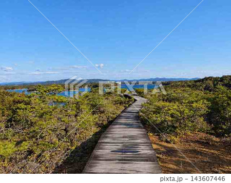 青空と海へ続く木道の風景 143607446