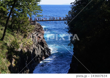 海をわたる吊橋　2月東伊豆20城ヶ崎海岸･門脇吊橋 143607634