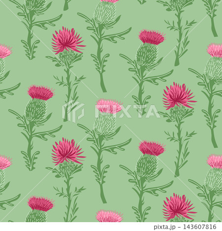 Seamless thistle pattern with pink and green botanical stems on a muted sage background, decorative repeating floral illustration for textile and surface design 143607816