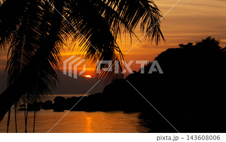 beautiful sunset on the beach beautiful sunset on the beach 143608006