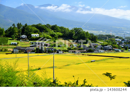 長野県東御市八重原より浅間山方面を望む(長野県東御市)【2026.9】 143608244
