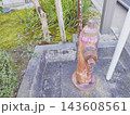 錆びて塗装が剥がれた古い消火栓 143608561