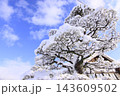 雪化粧した美作滝尾駅、雪の花を咲かせた木と青空の冬風景 143609502