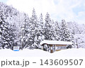 大雪の美作河井駅、雪に埋もれた駅舎と雪化粧した杉林の風景 143609507