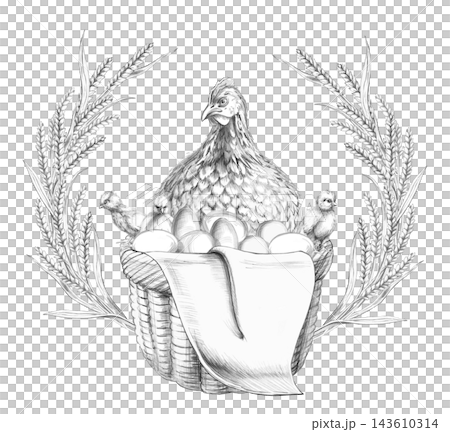 Pencil drawing of a hen in a basket with chicks and eggs. The illustration is suitable for packaging, labels, menus, advertising, children's books, food blogs, and websites. 143610314