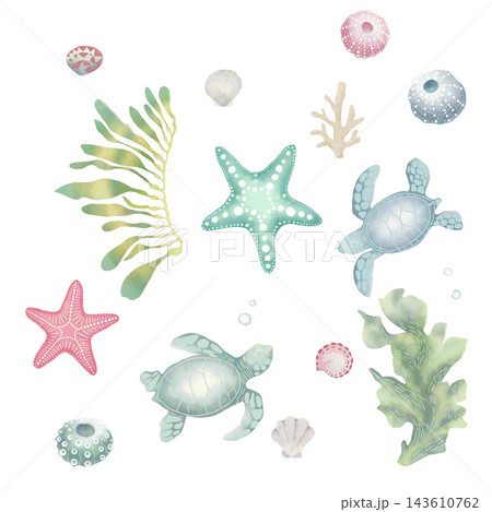 sea life 143610762