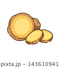 Ginger half slices, tan rhizome yellow cut face rounds, spicy kitchen icon. Natural organic ingredient cartoon, simple aromatic spice mark. Zesty root section seal 143610941