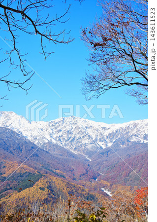 枝越しに望む冠雪の北アルプスと紅葉の谷 白馬の晩秋 縦構図 143611523
