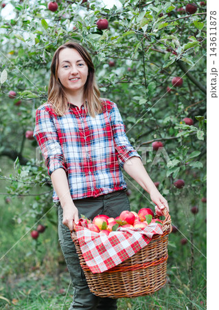 Woman stands among apple trees holding basket filled with ripe red apples during autumn Woman stands among apple trees holding basket filled with ripe red apples during autumn 143611878
