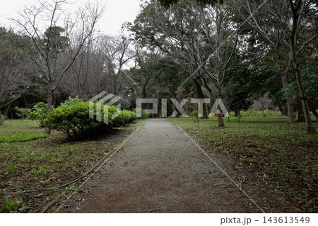 秋の自然風景 木々に囲まれた緑地公園の園路・散策路 千葉・八千代 村上緑地 秋の自然風景 木々に囲まれた緑地公園の園路・散策路 千葉・八千代 村上緑地 143613549